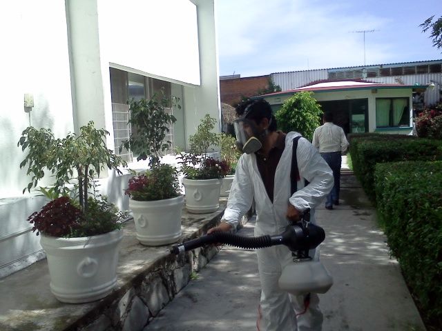 Sin Nombre